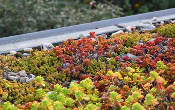 the cost of Chadwell St Mary green roof installation