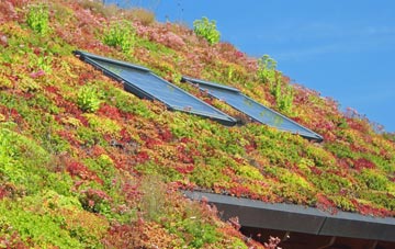 Chadwell St Mary living roof systems